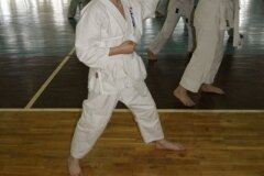 XIII-Turniej-NKSW-Wulkan-w-kata-9-czerwca-2012-r_652147