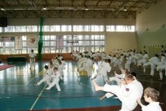 XIII-Turniej-NKSW-Wulkan-w-kata-9-czerwca-2012-r_654737