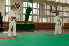 XIII-Turniej-NKSW-Wulkan-w-kata-9-czerwca-2012-r_654952