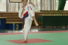 XIII-Turniej-NKSW-Wulkan-w-kata-9-czerwca-2012-r_655349