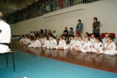 XIII-Turniej-NKSW-Wulkan-w-kata-9-czerwca-2012-r_656206