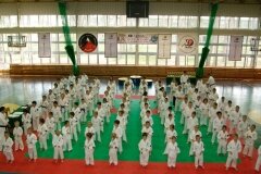 XIII-Turniej-NKSW-Wulkan-w-kata-9-czerwca-2012-r_656494