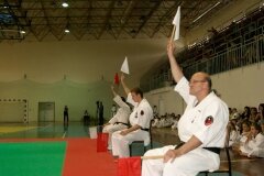 XIII-Turniej-NKSW-Wulkan-w-kata-9-czerwca-2012-r_656758