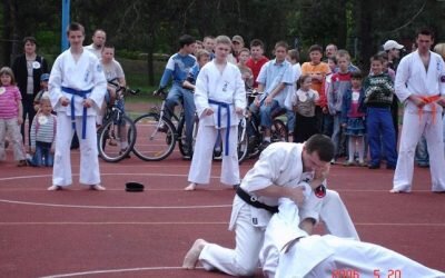 Pokazy sportowe Festyn Trójki 2006