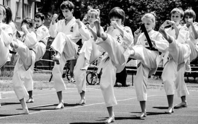 VIII Festyn Rodzinny „Trójki” Aleksandra-Modrzejewska – 26.05.2012