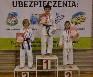 Mistrzostwa Pionek Oyama Karate w konkurencji kata. 6.05.2013