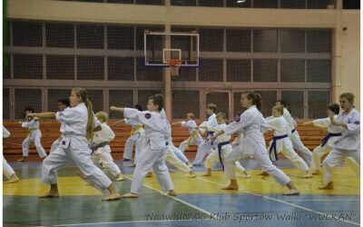 Egzamin na stopnie szkoleniowe kyu (25 stycznia 2014)