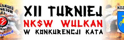 XII Turniej NKSW Wulkan w konkurencji kata.