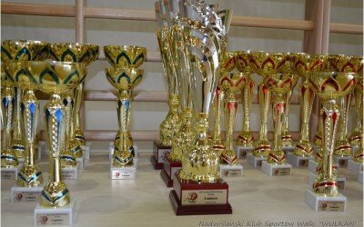 XVII Turniej NKSW Wulkan w Kata, Kozienice 4 czerwca 2016