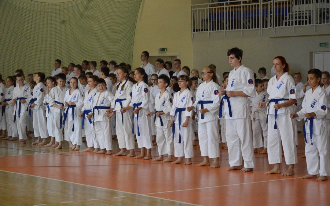 Egzamin na stopnie szkoleniowe kyu, Kozienice 8 czerwca 2019 r