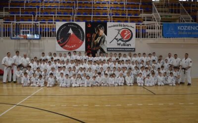 Egzamin na stopnie szkoleniowe kyu, Kozienice 28 stycznia 2017 roku