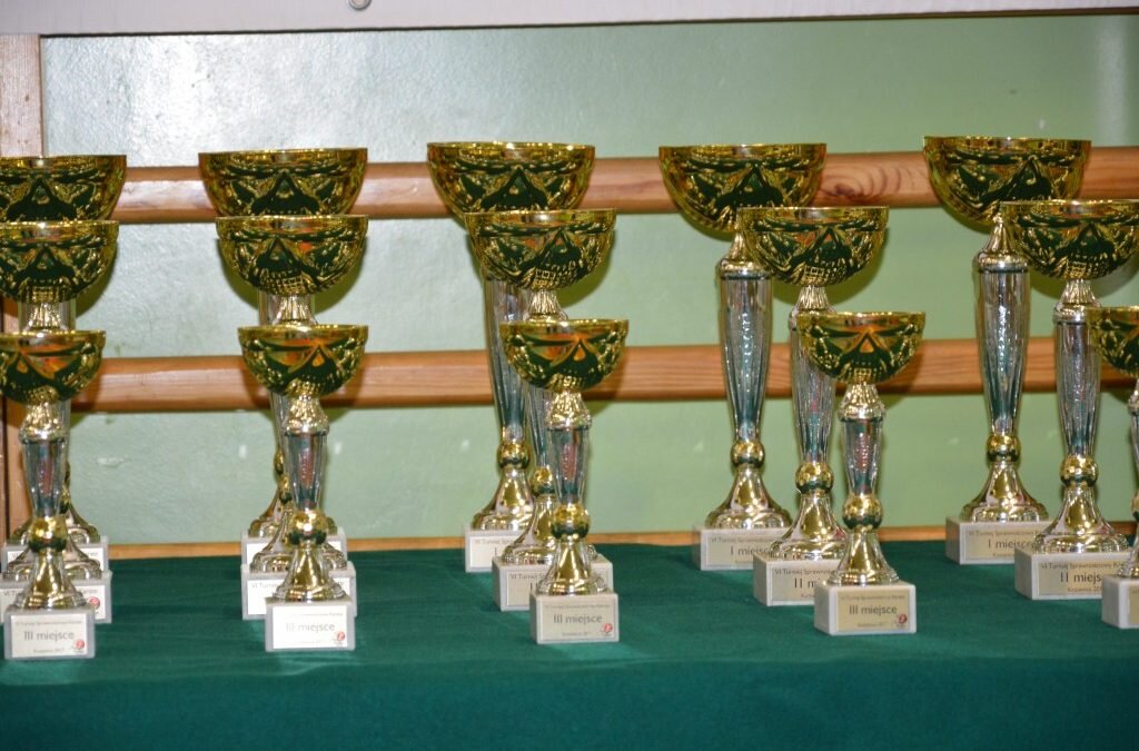 VI Turniej Sprawnościowy Karate, Kozienice 19 grudnia 2017 r.