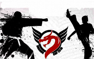 Dragon Cup 2018, Radom 24 lutego 2018 r.