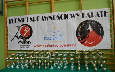 VII Turniej Sprawnościowy Karate, Kozienice 13 kwietnia 2018 r.