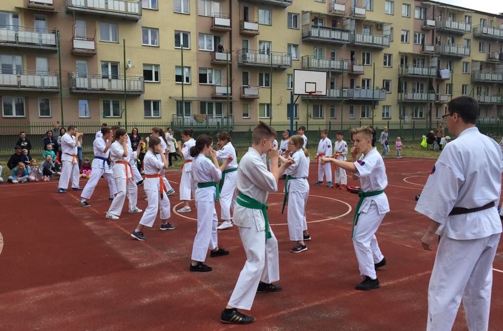 XIV Festyn Rodzinny Trójki- pokaz karate, 19 maja 2018 r.