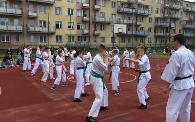 XIV Festyn Rodzinny Trójki- pokaz karate, 19 maja 2018 r.