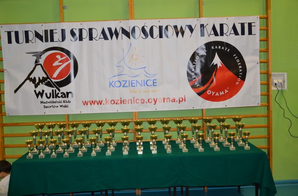 VIII Turniej Sprawnościowy Karate, Kozienice 14 grudnia 2018 roku