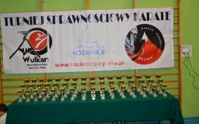 VIII Turniej Sprawnościowy Karate, Kozienice 14 grudnia 2018 roku
