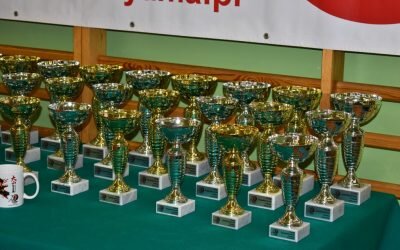 X Turniej Sprawnościowy Karate, Kozienice 15 stycznia 2020 r