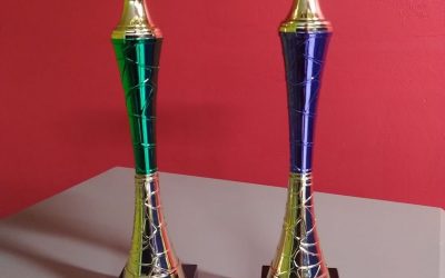 XII Turniej Sprawnościowy Karate, 14 maja 2021 r