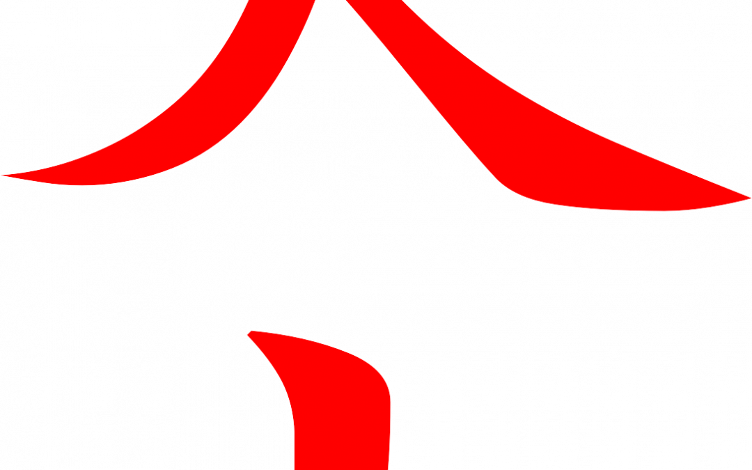 Egzamin karate na stopnie szkoleniowe kyu, Kozienice 9 czerwca 2021 r