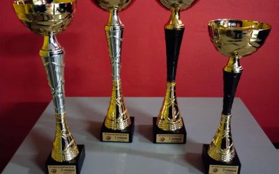 XIV Turniej Sprawnościowy Karate, Kozienice 13 kwietnia 2022 r