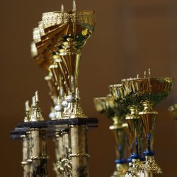 Mikołajkowy Turniej Oyama Karate o Puchar Burmistrza Zwolenia, 29 listopada 2025 r