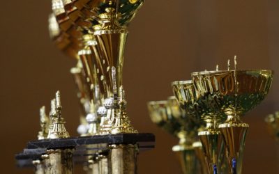 Mikołajkowy Turniej Oyama Karate o Puchar Burmistrza Zwolenia, 29 listopada 2025 r