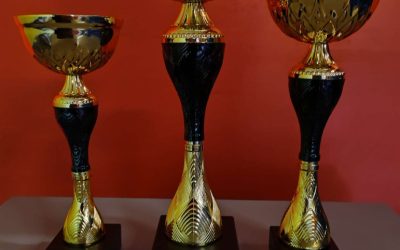 XVIII Turniej Sprawnościowy Karate, Kozienice 10 maja 2024 roku