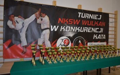 XXV Turniej NKSW Wulkan w Konkurencji Kata, Kozienice 29 maja 2024 r