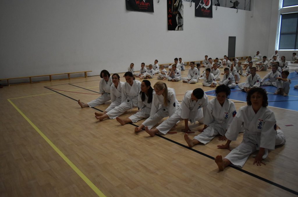 Egzamin na stopnie szkoleniowe kyu, Kozienice 8 czerwca 2024 r