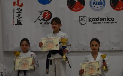 XIX Turniej Sprawnościowy Karate, 6 grudnia 2024 r