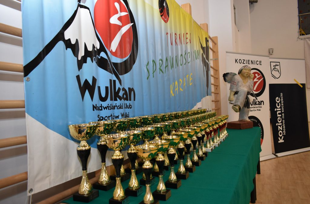 XX Turniej Sprawnościowy Karate, 4 kwietnia 2025 r